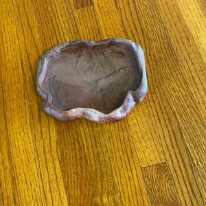 Shallow reptile water dish